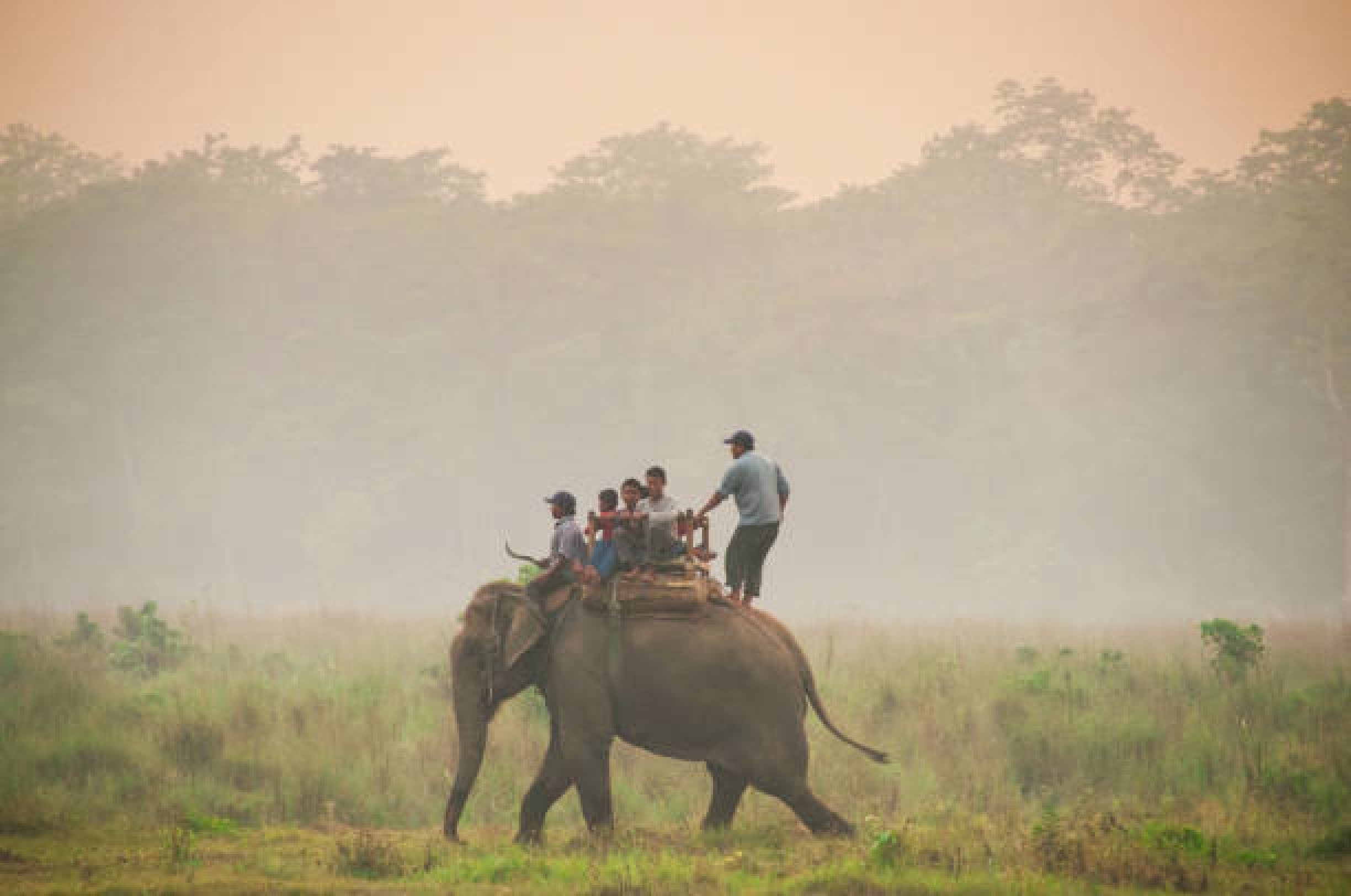 chitwan